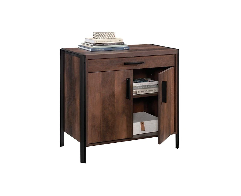 Casainc Storage Cabinet with 2 Doors