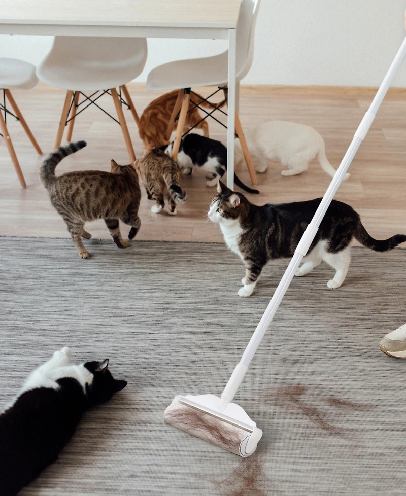 True & Tidy StickyPro Xl 4-Pc. Lint Roller Refill Set