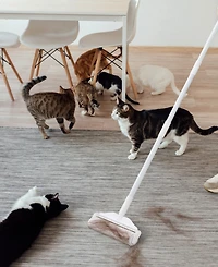 True & Tidy StickyPro Xl 4-Pc. Lint Roller Refill Set