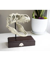 Surreal Entertainment Jurassic World Tyrannosaurus Rex Skull Resin Replica - 9x8-Inch TRex Dinosaur Head Statue