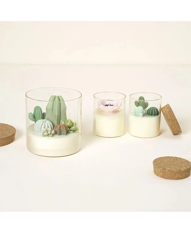 Uncommon Goods Cactus Terrarium Scented Candle, 14.5 oz