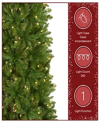 National Tree 6.5' Kingswood Fir Hinged Pencil Tree with 250 Clear Lights
