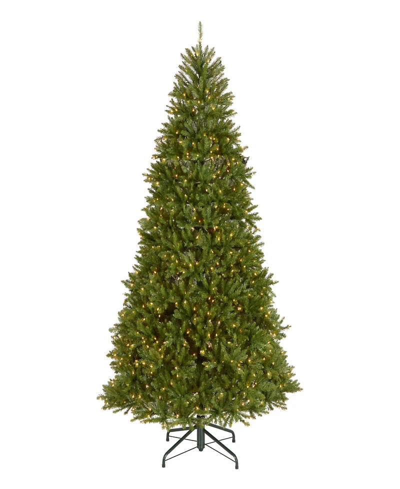 National Tree Company 9' Dunhill Fir Full-Bodied & Hinged Tree With 900 Clear Lights