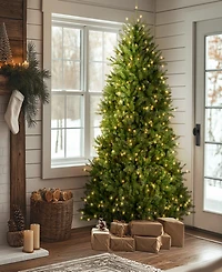 National Tree Company 7' Dunhill Fir Hinged Tree with 700 Clear Lights