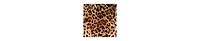 Fashion-szn Curve Women's Leopard Print Ring Detail Kaftan