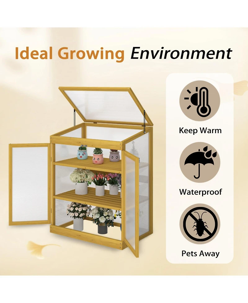 Streamdale Furniture Wooden Cold Frame Greenhouse