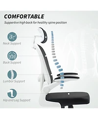 Homcom Ergonomic Office Chair, Mesh Desk Chair with Lumbar Support,