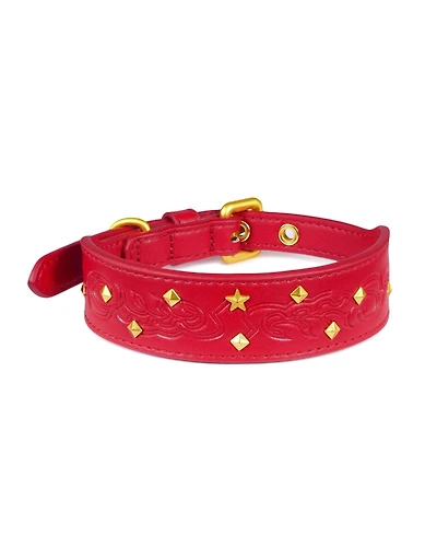 Blueberry Pet Silver-Powered Freshness Microfiber Suede Dog Collar – Embossed Classic Pattern with Bronze Studs