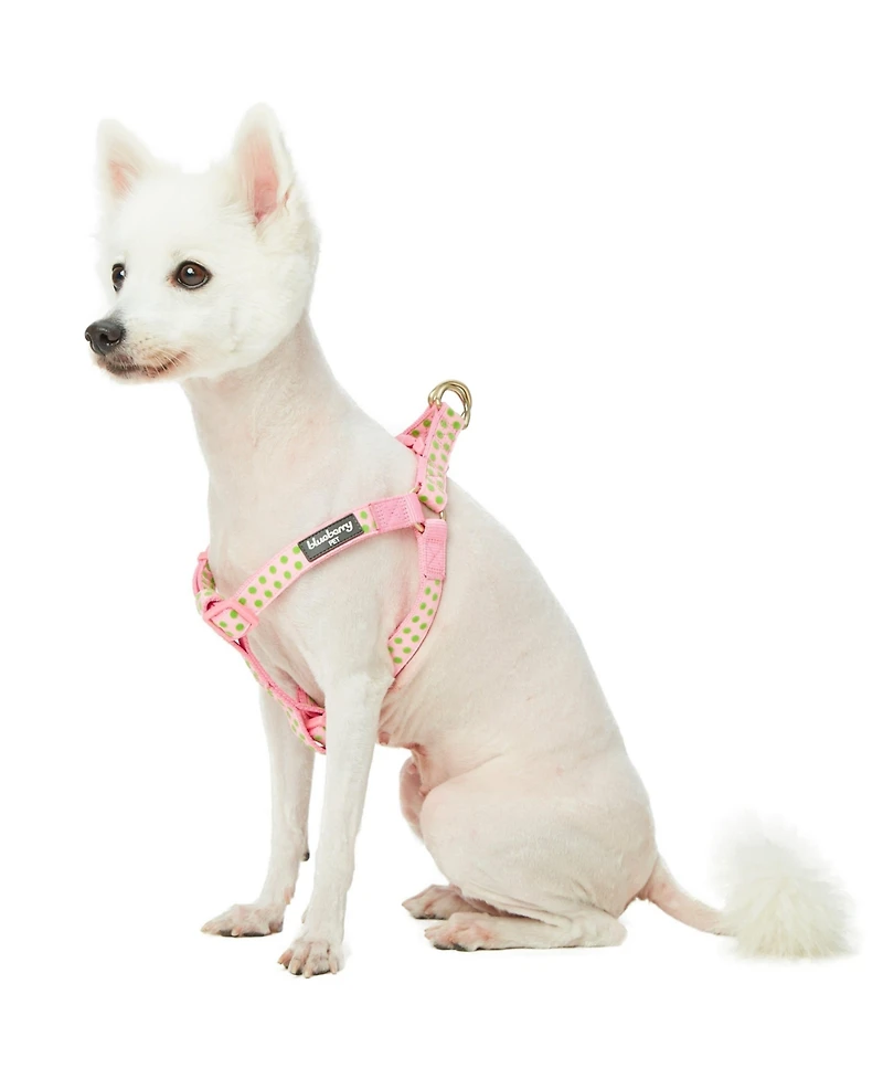 Blueberry Pet Velvety Polka Dot Dog Step-in Harness with Bow