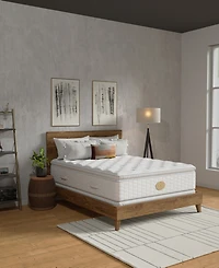 Shifman In Bloom 18" Plush Pillow Top Mattress, Queen