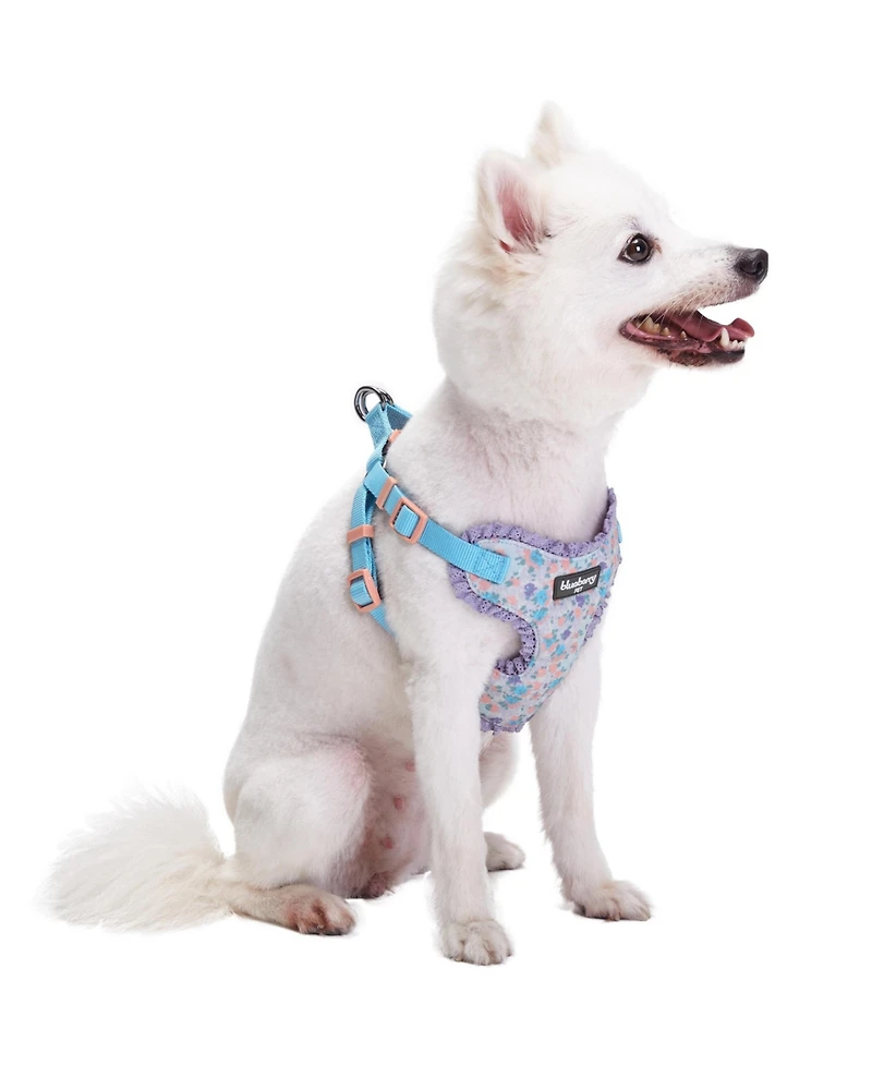Blueberry Pet Made Well Floral Print Dog Harness Vest With Lace Trim