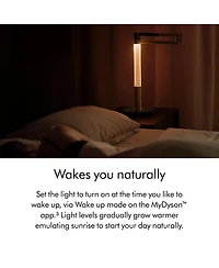 Dyson Solarcycle Morph Desk Light | Black