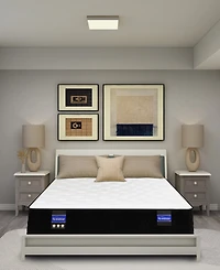 Spring Air Back Supporter Audrey 11" Hybrid Firm Tight Top Mattress Set, Queen Split
