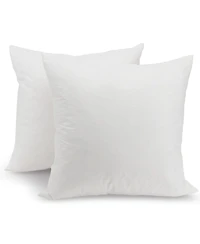 Cheer Collection 95% Feather/5% Down 2-Pack Pillow Inserts, 24" x 24"