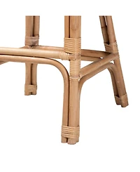 Furniture Neola 22" Rattan Bohemian Bar Stool