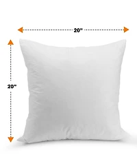 Cheer Collection Feather Decorative Pillow, 20" x 20"