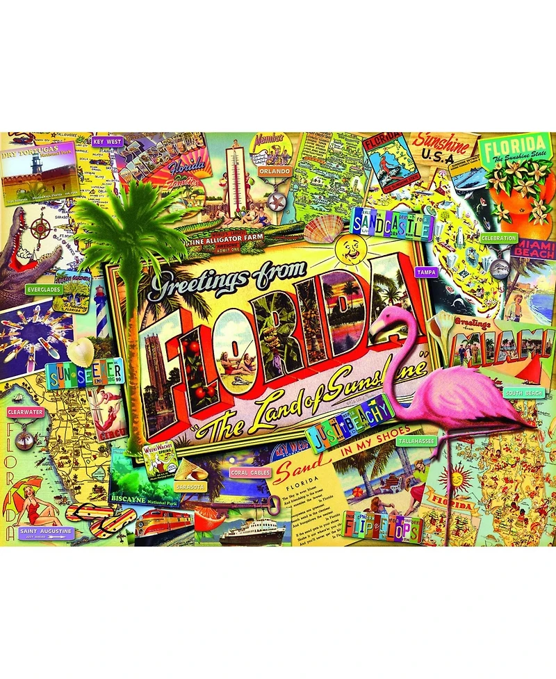SunsOut Florida 1000 piece Jigsaw Puzzle for Adults