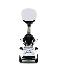 Hongge 3 In 1 Toddler Push Car Ride On Toy With Adjustable Canopy Storage And Handle