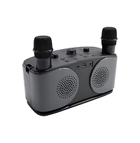 Artudatech 20W Karaoke Speaker System with Voice Changer, 2 Wireless Mics, Bluetooth 5.3 & Aux Tv Connection