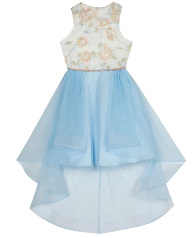 Rare Editions Girls' 7-16 Embroidered Mesh Illusion Bodice High-Low Dress