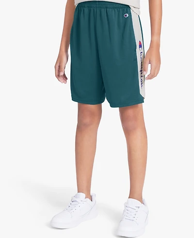 Champion Boys' 8-20 Pieced Signature Mesh Shorts