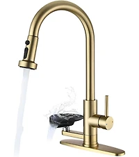 Busdays 3-in-1 Kitchen Faucet with Press-Type Glass Rinser