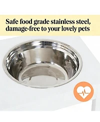 Aostirmotor Dog Bowls Elevated Feeding Station in White
