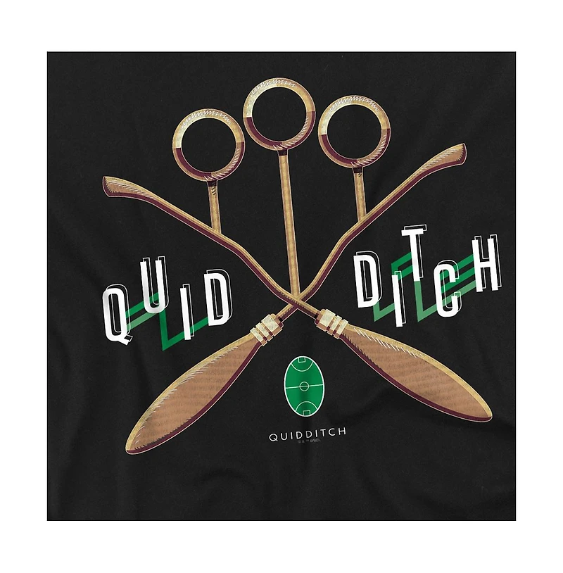Harry Potter Big & Tall Quidditch Lines T Shirt