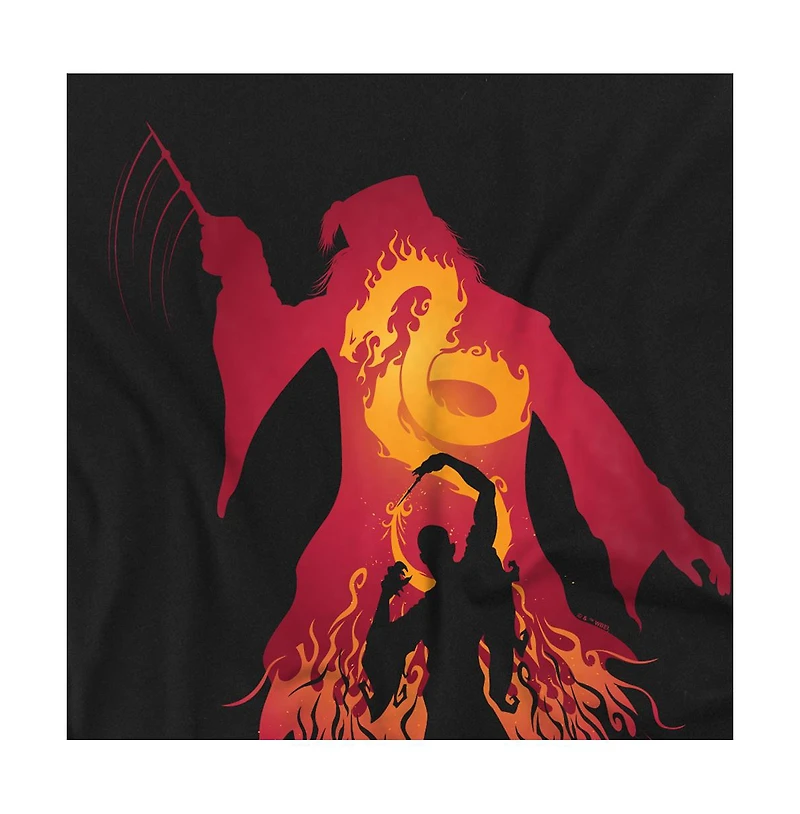 Harry Potter Men's Fiery Dumbledore Vs. Voldemort T Shirt