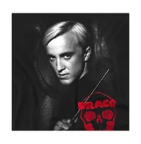Harry Potter Big & Tall Draco Portrait T Shirt