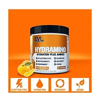 Evl Hydramino Complete Hydration Multiplier |Vitamin C & B, Fluid Boosting Aminos, Coconut Water, Endurance, Recovery, Orange Mango