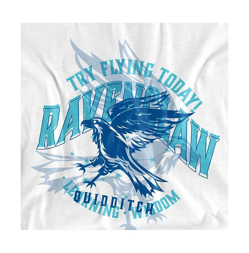 Harry Potter Men's Ravenclaw Try Flying T Shirt