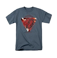 Harry Potter Men's Gryffindor Bravery Courage Determination T Shirt