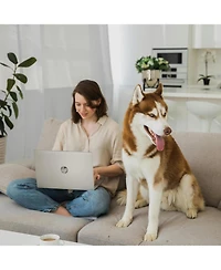 Hp Essential 15.6" Traditional Laptop Intel N-Series 4GB Ram Intel Uhd Graphics 128GB eMMC Storage Windows 11 Home 60Hz