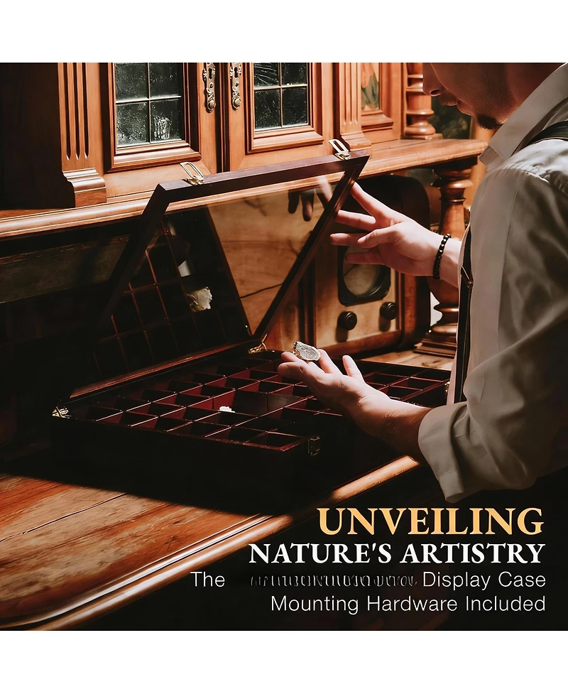 Yigii Adjustable Rock Display