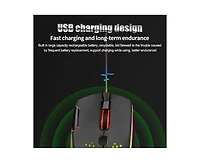 Risokeys Wireless Gaming Mouse with Rgb Lights