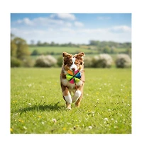 Aostirmotor Interactive Dog Toy: Treat Dispensing Ball & Chew Toy, Durable Latex Wedge Shape for Mental Stimulation and Play