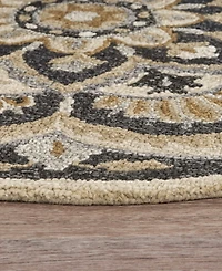 Lr Home Radiance Rdc-062 6' x 6' Round Area Rug