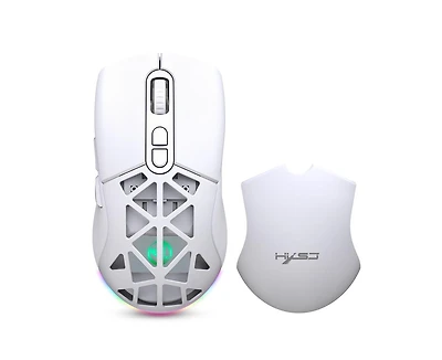 Risokeys Dual-Mode Wireless Gaming Mouse,Rgb Backlit Rechargeable 650mAh,4 Adjustable Dpi 800-4800,Silent Click