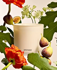 Apotheke Fig and Olive 3-Wick Scented Candle, 26 oz.