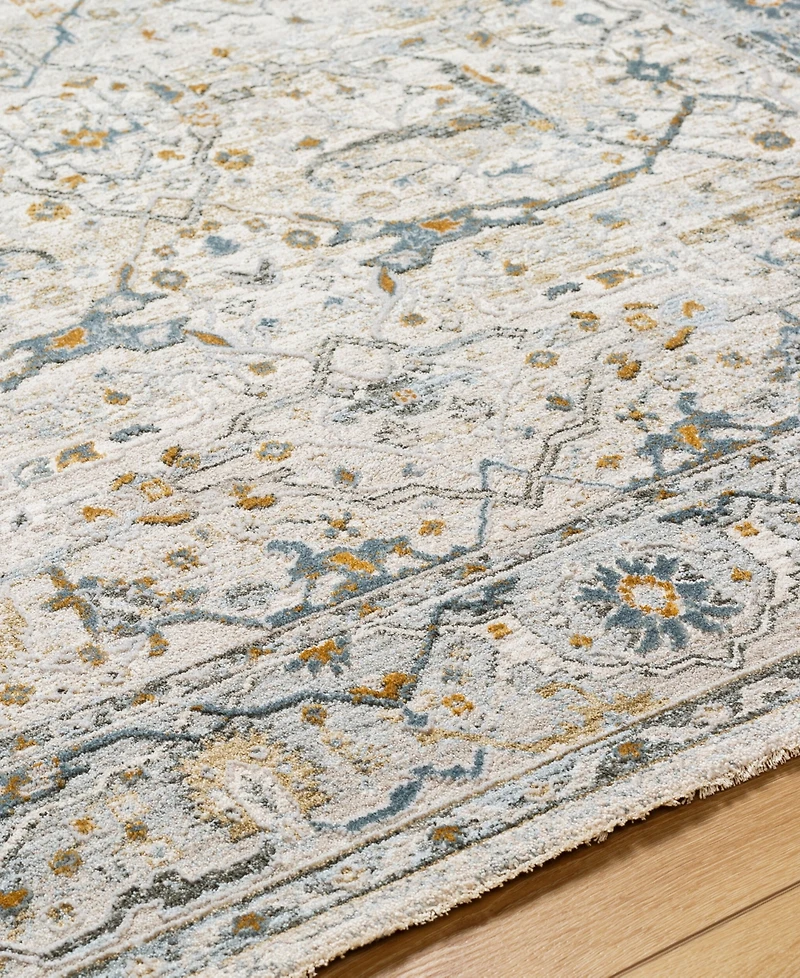 Livabliss Dresden Dre-2309 2'7" x 7'3" Runner Area Rug