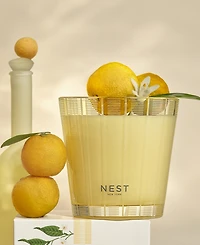 Nest New York Sunlit Yuzu and Mandarin 3-Wick Candle, 21.1 oz.