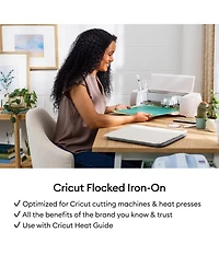 Cricut Flocked Iron-On, Classics Sampler - 12 in x 12 in (5 ct)