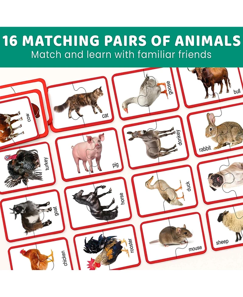 Quokka Toddler Matching Puzzle Ages 2–4 – 16 Self Correcting Educational Jigsaw Pieces