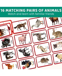 Quokka Toddler Matching Puzzle Ages 2–4 – 16 Self Correcting Educational Jigsaw Pieces