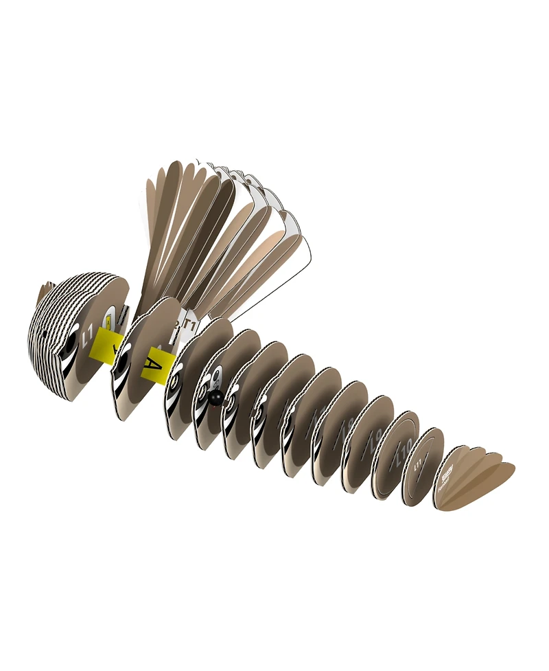 Eugy Fantail 3D Puzzle