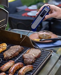 Maverick Pro-Temp Professional Thermocouple Thermometer