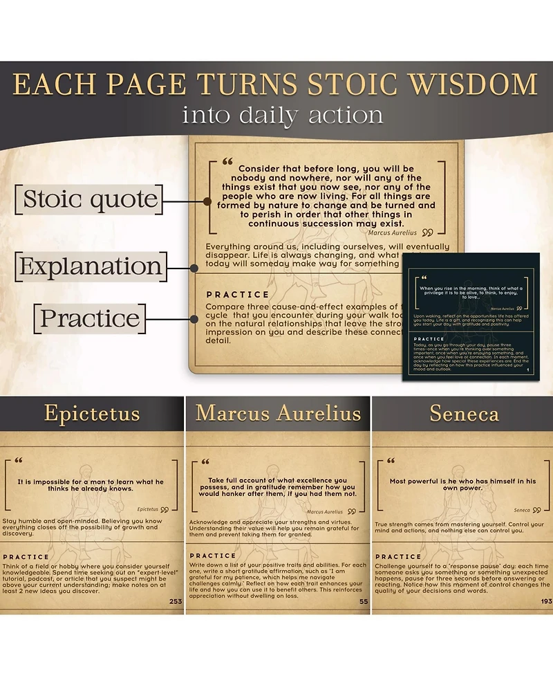 Quokka Calendar Stoicism 365 Daily Quotes & Stoic Affirmations for Strength & Resilience for Adults