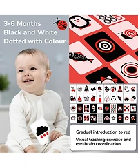 Quokka 60 High Contrast Baby Flash Cards 36 Months - Black & White Toddler Flashcards 36 Months in a Bag