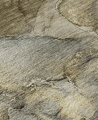 Addison Mayfield AMF2018 10'x14' Area Rug